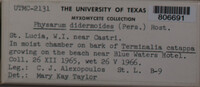 Image Associated With the Occurrence